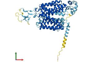 Protein Structure (PS) image for Solute Carrier Family 22 (Organic Anion Transporter), Member 8 (SLC22A8) (AA 1-537) protein (His tag) (ABIN7562689)