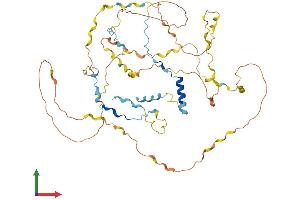 Protein Structure (PS) image for WAS/WASL Interacting Protein Family, Member 1 (WIPF1) (AA 1-503) protein (His tag) (ABIN7556020)