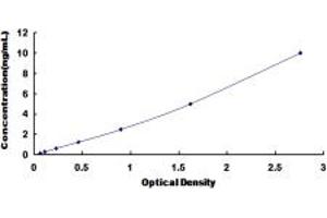 Typical standard curve (SUMF1 ELISA 试剂盒)