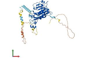 Protein Structure (PS) image for Methyltransferase Like 14 (METTL14) (AA 1-456) protein (His tag) (ABIN7554567)