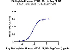 ELISA image for Vascular Endothelial Cell Growth Factor 121 (VEGF121) (AA 27-147) protein (His-Avi Tag,Biotin) (ABIN7275826)