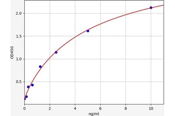 Erythroferrone (ERFE) ELISA 试剂盒