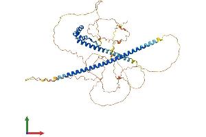 Protein Structure (PS) image for TOX High Mobility Group Box Family Member 3 (TOX3) (AA 1-576) protein (His tag) (ABIN7555839)