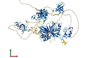 Protein Structure (PS) image for Cylindromatosis (Turban Tumor Syndrome) (CYLD) (AA 1-952) protein (His tag) (ABIN7564239)