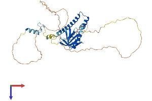 ICEF1 Protein (AA 1-406) (His tag)