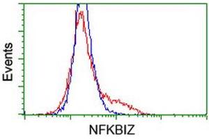 HEK293T cells transfected with either RC219121 overexpress plasmid (Red) or empty vector control plasmid (Blue) were immunostained by anti-NFKBIZ antibody (ABIN2454472), and then analyzed by flow cytometry.