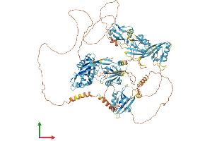 AlphaFold protein structure predicition of Mouse Recombinant Grip1 Protein, UniprotID Q925T6