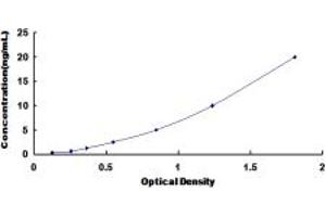 Typical standard curve (NME1 ELISA 试剂盒)