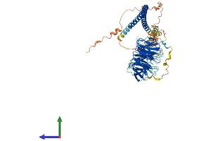 Protein Structure (PS) image for Sperm Associated Antigen 16 (SPAG16) (AA 1-631) protein (His tag) (ABIN7546343)