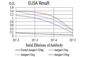 Black line: Control Antigen (100 ng),Purple line: Antigen (10 ng), Blue line: Antigen (50 ng), Red line:Antigen (100 ng) (CCR3 抗体)