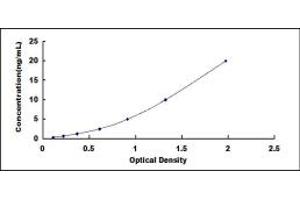 Typical standard curve (C8B ELISA 试剂盒)