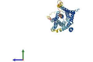 Protein Structure (PS) image for Solute Carrier Family 39 (Zinc Transporter), Member 1 (SLC39A1) (AA 1-324) protein (His tag) (ABIN7561806)