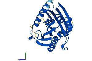 Protein Structure (PS) image for StAR-Related Lipid Transfer (START) Domain Containing 4 (STARD4) (AA 1-224) protein (His tag) (ABIN7560323)