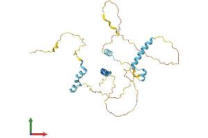 Protein Structure (PS) image for Family with Sequence Similarity 110, Member A (FAM110A) (AA 1-296) protein (His tag) (ABIN7559656)
