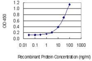 Detection limit for recombinant GST tagged TPRKB is 1 ng/ml as a capture antibody. (TPRKB 抗体  (AA 66-175))
