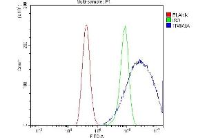 Flow Cytometry analysis of A431 cells using anti-TIMM8A/DDP antibody (ABIN7600039). (TIMM8A/DDP 抗体  (AA 14-97))