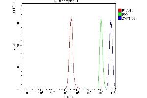 Flow Cytometry analysis of Daudi cells using anti-ZMYND8 antibody (ABIN7598947).