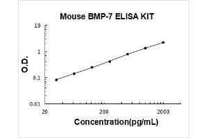 Bone Morphogenetic Protein 7 (BMP7) ELISA Kit