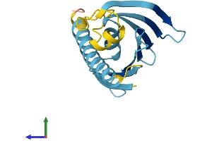 AlphaFold protein structure predicition of Human Recombinant PRELID3A Protein, UniprotID Q96N28