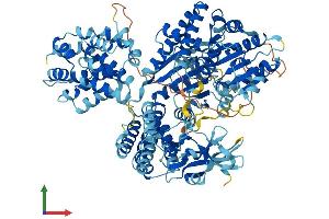 Protein Structure (PS) image for DEAD (Asp-Glu-Ala-Asp) Box Polypeptide 58 (DDX58) (AA 1-925) protein (His tag) (ABIN7547052)