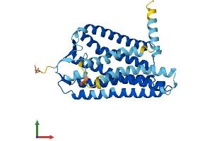 Protein Structure (PS) image for Olfactory Receptor, Family 11, Subfamily A, Member 1 (OR11A1) (AA 1-315) protein (His tag) (ABIN7550009)