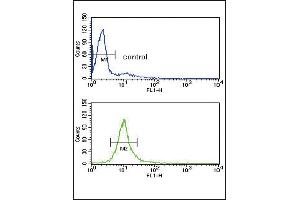 Flow Cytometry (FACS) image for anti-Cytochrome P450, Family 51, Subfamily A, Polypeptide 1 (CYP51A1) (AA 250-279) antibody (ABIN652820)