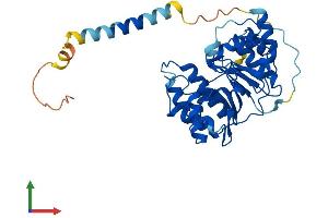 Protein Structure (PS) image for alpha 1, 4-Galactosyltransferase (A4GALT) (AA 1-359) protein (His tag) (ABIN7557874)