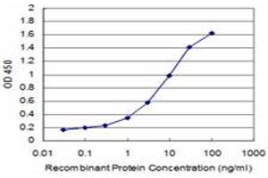 Detection limit for recombinant GST tagged LASS6 is approximately 0. (CERS6 抗体  (AA 62-131))