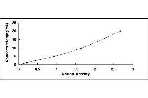 Typical standard curve (SQSTM1 ELISA 试剂盒)