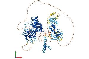 Protein Structure (PS) image for PMS1 Postmeiotic Segregation Increased 1 (S. Cerevisiae) (PMS1) (AA 1-932) protein (His tag) (ABIN7555030)
