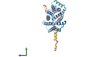 Protein Structure (PS) image for Solute Carrier Family 35 (UDP-Galactose Transporter), Member A2 (SLC35A2) (AA 1-396) protein (His tag) (ABIN7551715)