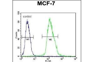 MF Antibody (C-term) 940b flow cytometric analysis of MCF-7 cells (right histogram) compared to a negative control cell (left histogram). (MFAP4 抗体  (C-Term))