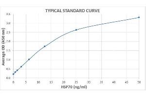 Typical Standard Curve for the HSP70 ELISA Kit (Enzyme-Linked Immunosorbent Assay).