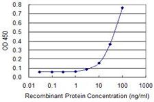 Detection limit for recombinant GST tagged ZIC3 is approximately 10ng/ml as a capture antibody. (ZIC3 抗体  (AA 182-274))