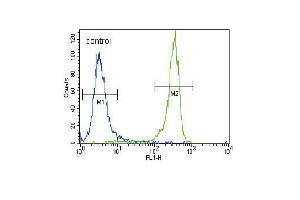 FGFR2 Antibody (N-term R22) (ABIN391967 and ABIN2841763) flow cytometric analysis of NCI- cells (right histogram) compared to a negative control cell (left histogram). (FGFR2 抗体  (N-Term))