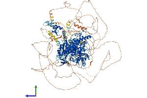 Protein Structure (PS) image for Zinc Finger, CCHC Domain Containing 11 (ZCCHC11) (AA 1-1644) protein (His tag) (ABIN7555863)