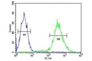 STING antibody flow cytometric analysis of Jurkat cells (green) compared to a negative control (blue). (STING/TMEM173 抗体  (AA 311-340))