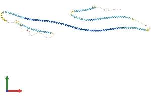 Protein Structure (PS) image for Hyaluronan-Mediated Motility Receptor (RHAMM) (HMMR) (AA 1-724) protein (His tag) (ABIN7548309)