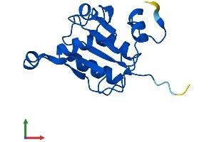 AlphaFold protein structure predicition of Mouse Recombinant Fuom Protein, UniprotID Q8R2K1