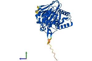 Protein Structure (PS) image for 2-Oxoglutarate and Iron-Dependent Oxygenase Domain Containing 2 (OGFOD2) (AA 1-349) protein (His tag) (ABIN7560496)