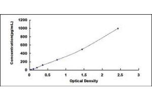 Typical standard curve (Renin ELISA 试剂盒)