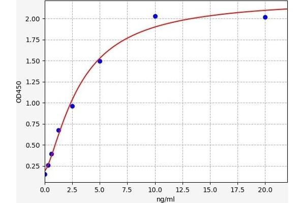 DUOX1 ELISA 试剂盒