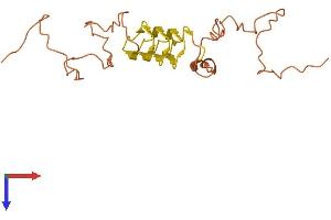 AlphaFold protein structure predicition of Human Recombinant KRTAP5-10 Protein, UniprotID Q6L8G5