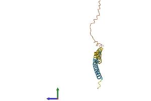 AlphaFold protein structure predicition of Mouse Recombinant Ifitm2 Protein, UniprotID Q99J93