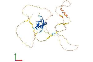 Protein Structure (PS) image for Forkhead Box L2 (FOXL2) (AA 1-376) protein (His tag) (ABIN7553978)