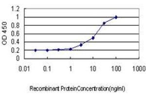 Detection limit for recombinant GST tagged POLA is approximately 0. (POLA1 抗体  (AA 1363-1462))
