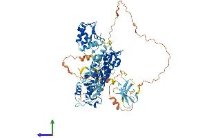 Protein Structure (PS) image for SMAD Specific E3 Ubiquitin Protein Ligase 1 (SMURF1) (AA 1-757) protein (His tag) (ABIN7555586)