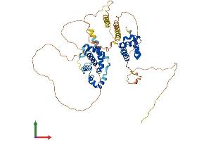 Protein Structure (PS) image for NGFI-A Binding Protein 1 (EGR1 Binding Protein 1) (NAB1) (AA 1-486) protein (His tag) (ABIN7557667)