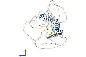 Protein Structure (PS) image for Leucine Rich Repeat Containing 50 (LRRC50) (AA 1-634) protein (His tag) (ABIN7560916)