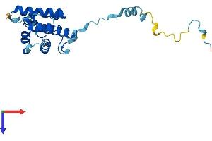 Transgelin 3 (TAGLN3) (AA 1-199) protein (His tag)